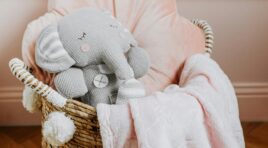 Where Circus-Inspired Design Works Best